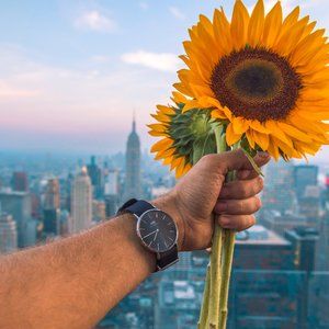 DANIEL WELLINGTON Classic Cornwall Watch